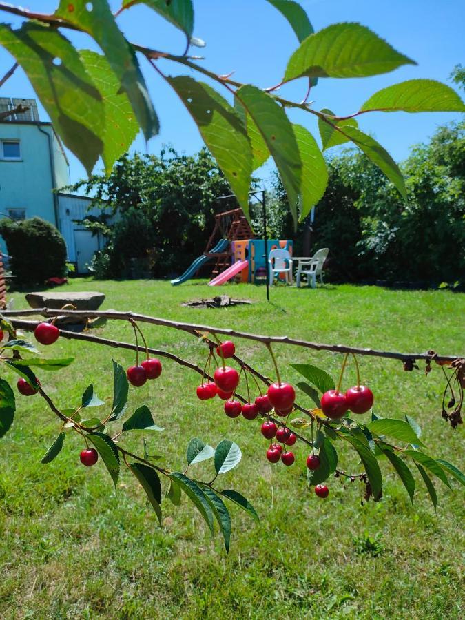 Agrogospodarstwo Halina Luc Guest House Sasino Exterior photo