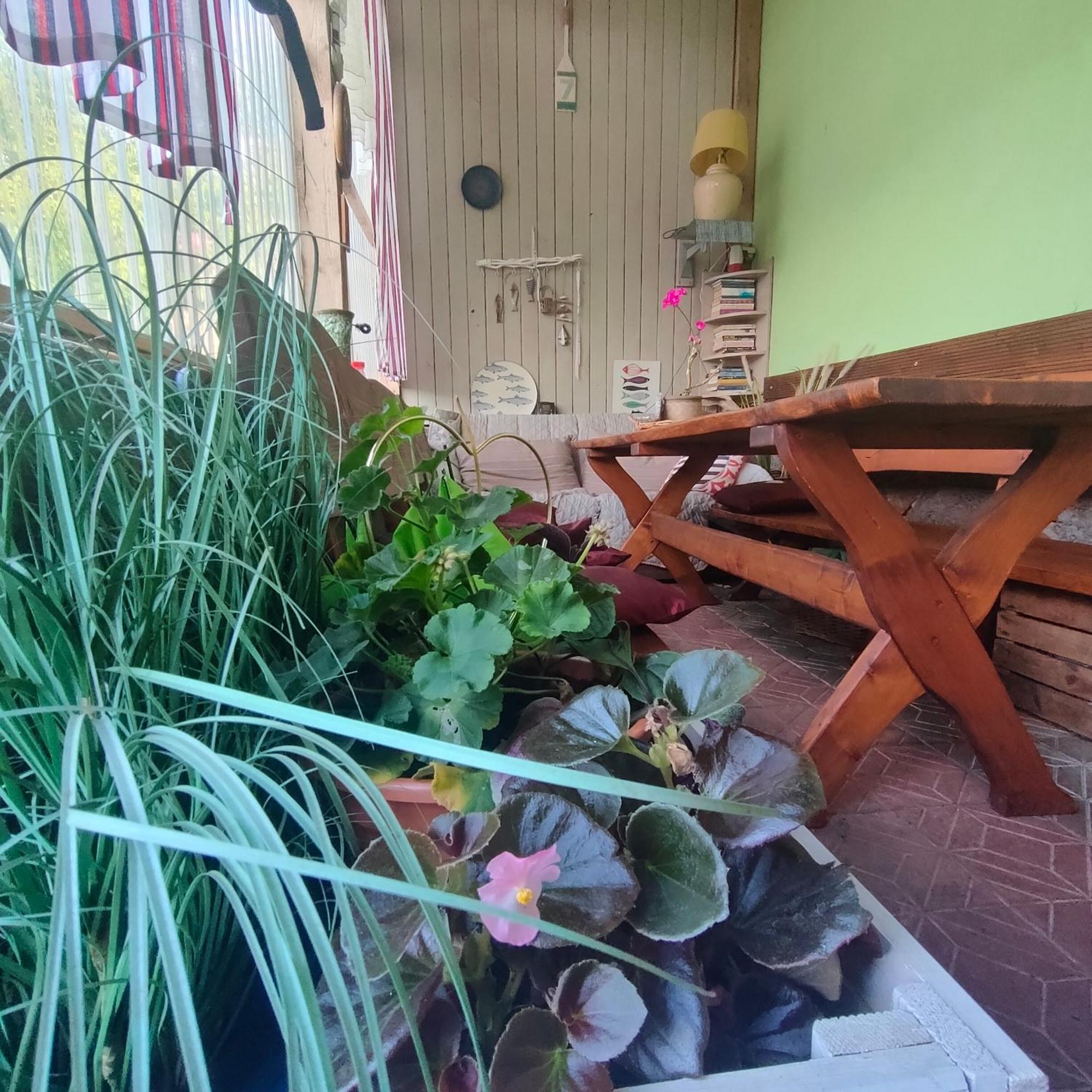 Agrogospodarstwo Halina Luc Guest House Sasino Exterior photo