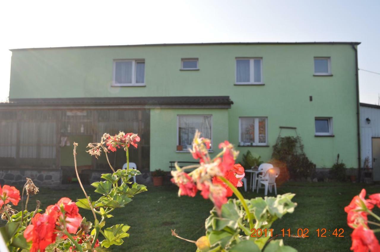 Agrogospodarstwo Halina Luc Guest House Sasino Exterior photo
